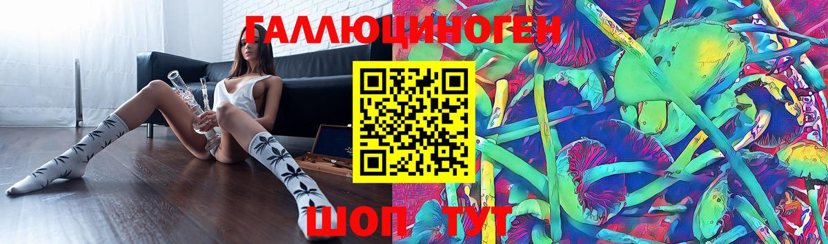 Галлюциногенные грибы мухоморы Будённовск